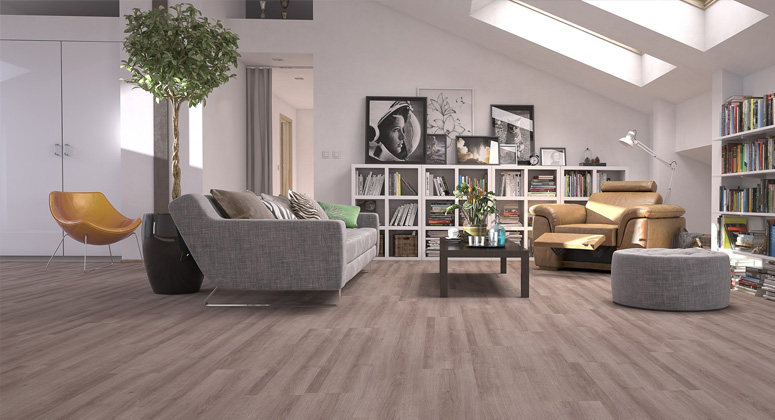 floorpan sun parke